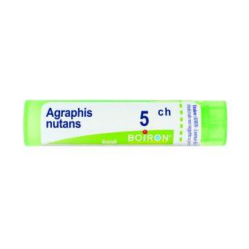 Agraphis nut boi*5ch gr 4g