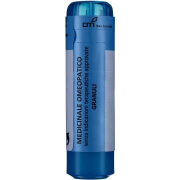 Anemone pulsatilla*30ch 70gr