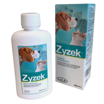 Zyzek shampoo ant*fl pe 200ml