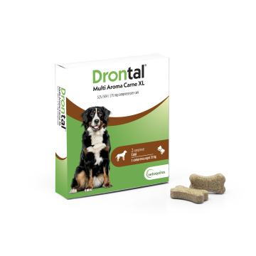 Drontal multi ar carne xl*2cpr