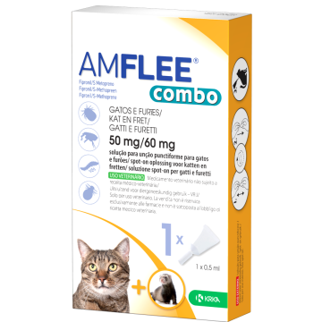 Amflee combo*1pip gatti/furett