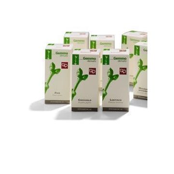 Ribes nero macerato glicerico 200 ml