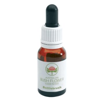 Bottlebrush gocce 15 ml