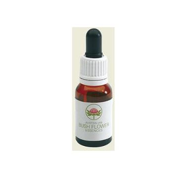 Dog rose wild force australian 15 ml