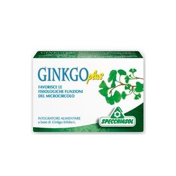 Ginkgo plus 30 capsule