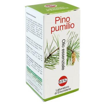 Pino pumilio olio essenziale 20 ml