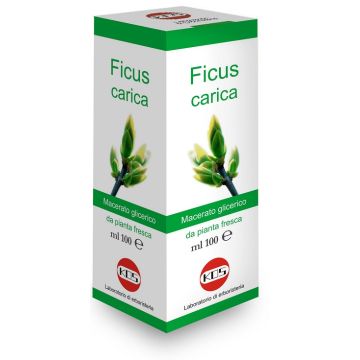 Ficus carica macerato glicerico 100 ml
