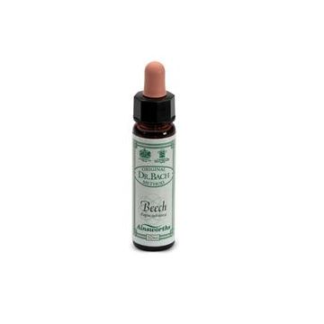 Ainsworths beech 10ml