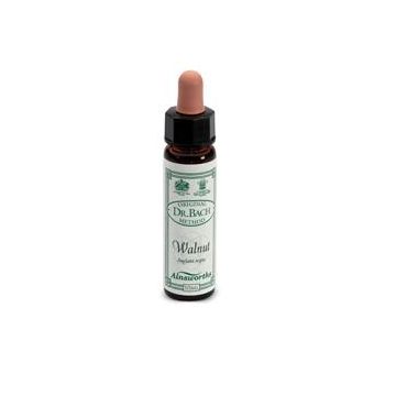 Ainsworths walnut 10ml