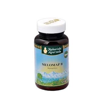 Melomap b polvere 30 g