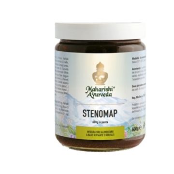Stenomap pasta 600 g