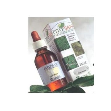 Echinacea radice tintura madre 100 ml