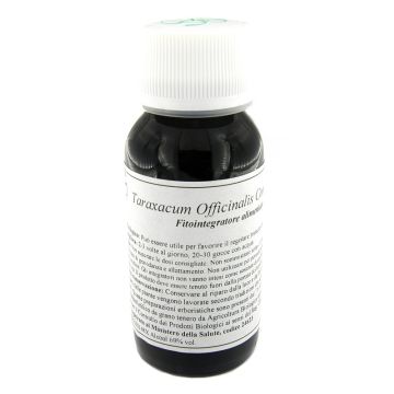 Lvs 09n taraxacum officinalis compositum