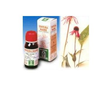 Echinacea 59 50ml tm