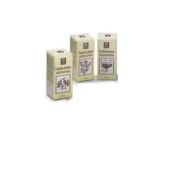 Nepeta cataria estratto analcolico 50 ml