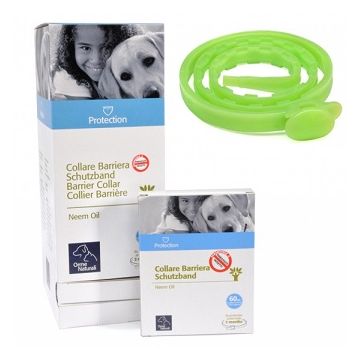 Protection collare barriera per cane