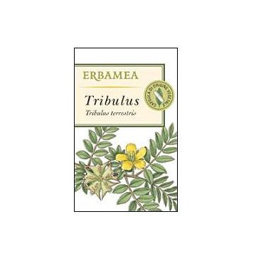 Tribulus 50 capsule vegetali