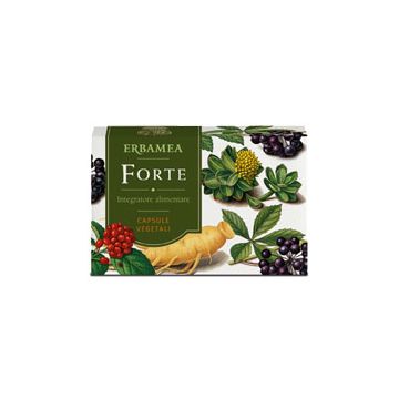 Forte 24 capsule