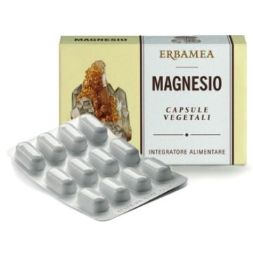 Magnesio 24 capsule 1200 mg