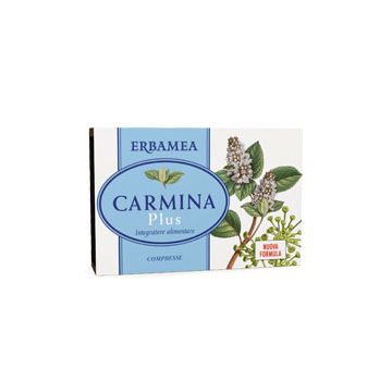 Carmina plus 24 compresse 19,2 g