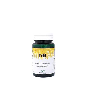 Trifil 60 capsule