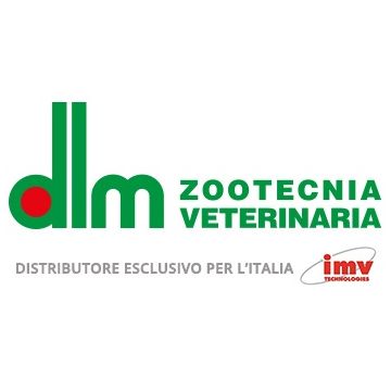 Collare elisabettiano classico/opaco 30 xxl 10 pezzi