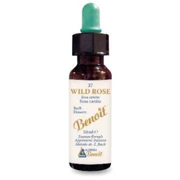 Fiori di bach benoit wild rose 10 ml