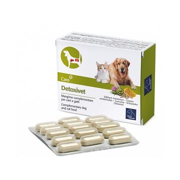 Detoxivet 60 compresse