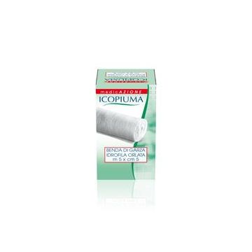 Icopiuma benda orlata 24 fili 12/11 5 cm x 5 m