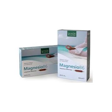 Magnesio b6 20 ampolle bevibili da 15 ml