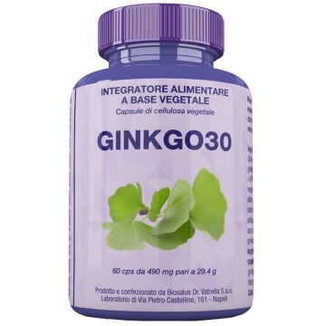 Ginkgo30 60 capsule 27 g