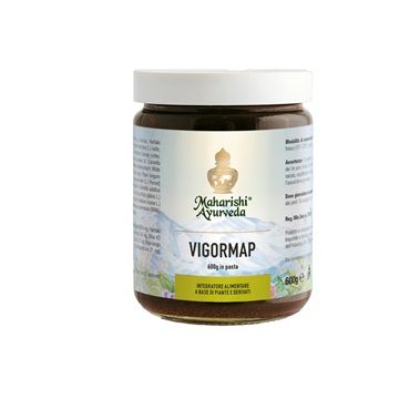 Vigormap pasta 600 g