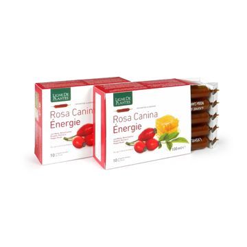 Rosa canina energie biologico 10 ampolle bevibili da 10 ml