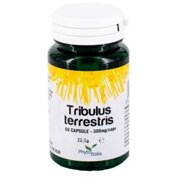 Tribulus terrestris 60 capsule