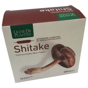 Ligne de plantes shitake bio 15 ampolle da 15 ml