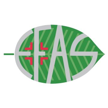 Ha100 acido ialuronico 100% 30 ml