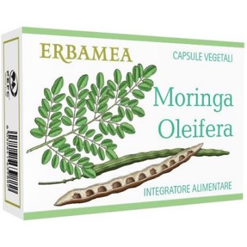 Moringa oleifera 24 capsule