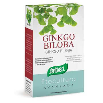 Ginkgo biloba 40 capsule