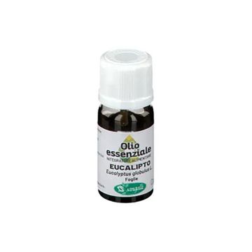 Eucalipto olio essenziale 10 ml