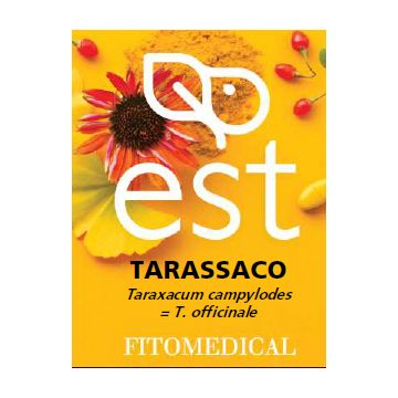 Tarassaco estratto secco 60 tavolette
