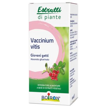 Vaccinium vitis macerato glicerico 60 ml