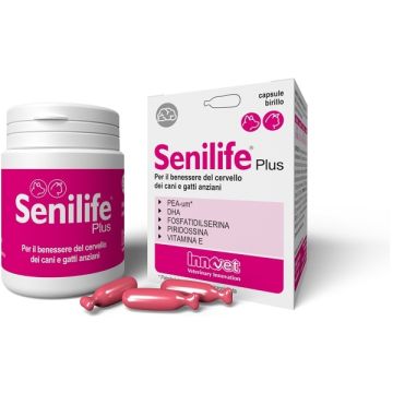 Senilife plus 30 capsule