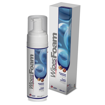 Wipes foam 200 ml
